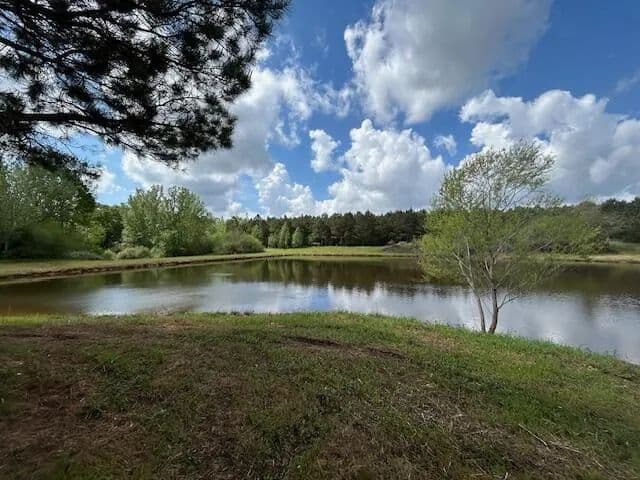 Land for Sale in Tylertown, Mississippi - Tylertown, Mississippi, 39667