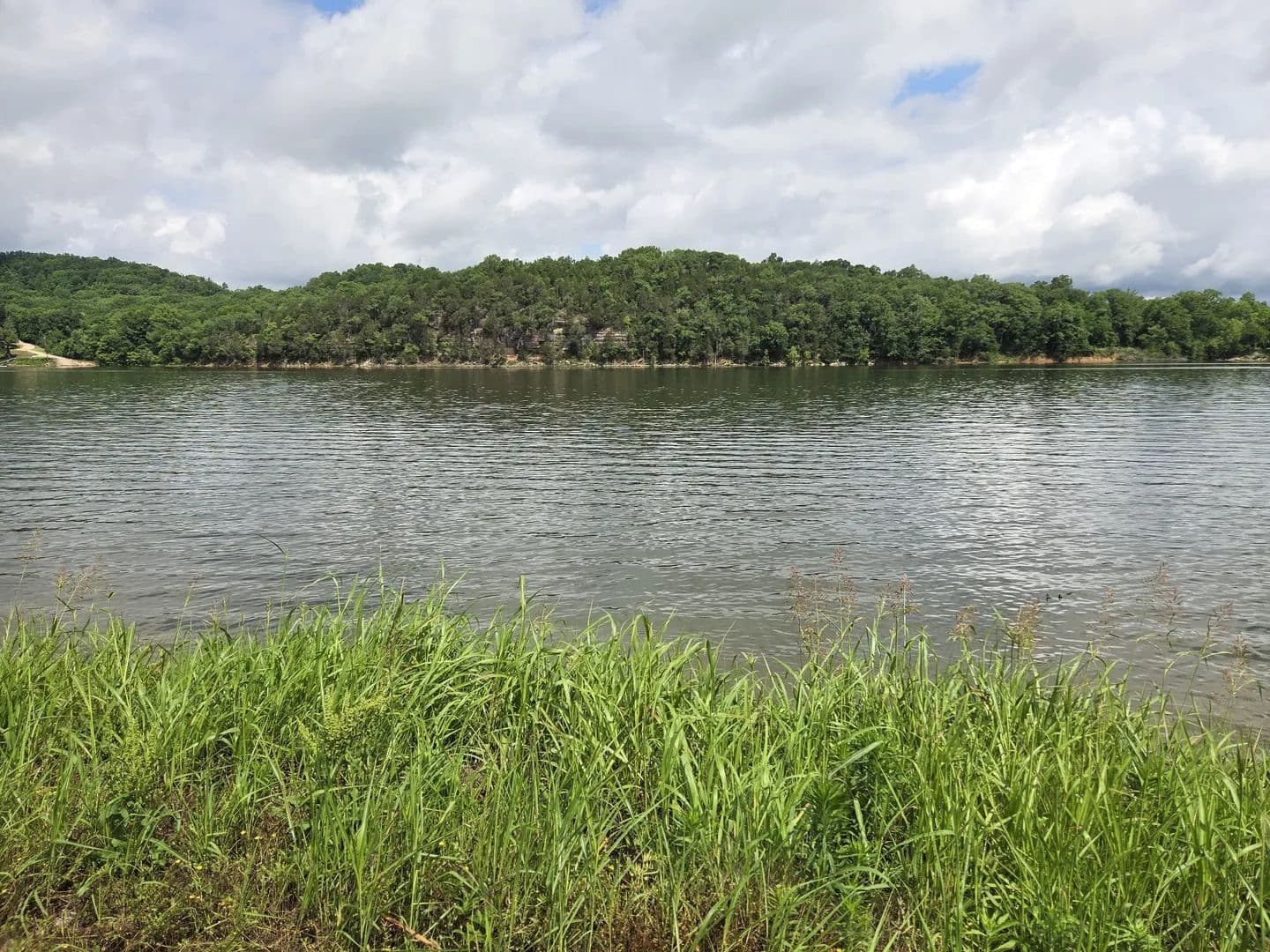 Property from 823 River Front Dr - KW - Clifton, Tennessee, 38425