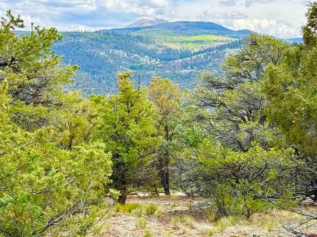 Property from 207 Wolf Creek Rd - KW - South Fork, Colorado, 81154