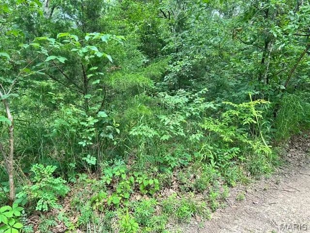 Property from 526 Tarkio Drive - KW - Bismarck, Missouri, 63624