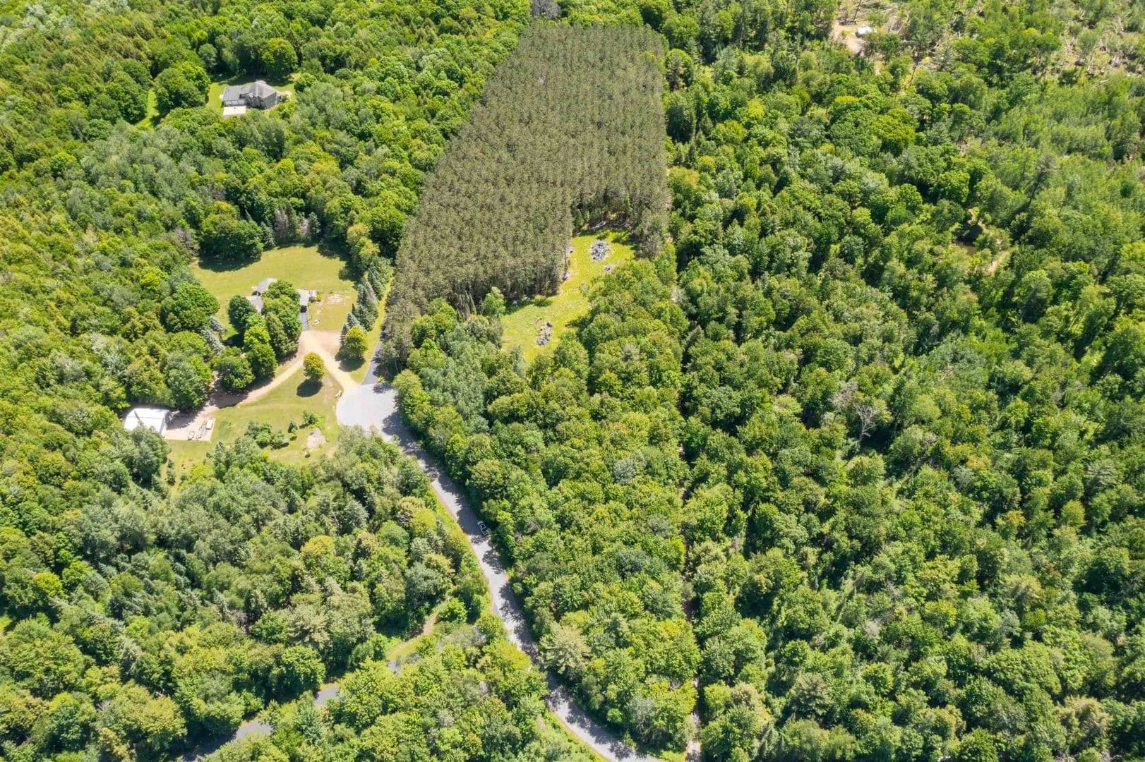 10.56 Acres of Land for Sale in Ringle, Wisconsin - Ringle, Wisconsin, 54471