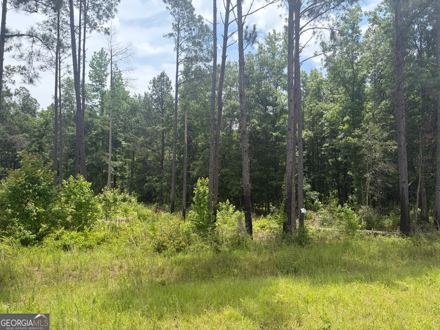 Property from 1 Sunhill Grange Road - KW - Davisboro, Georgia, 31018