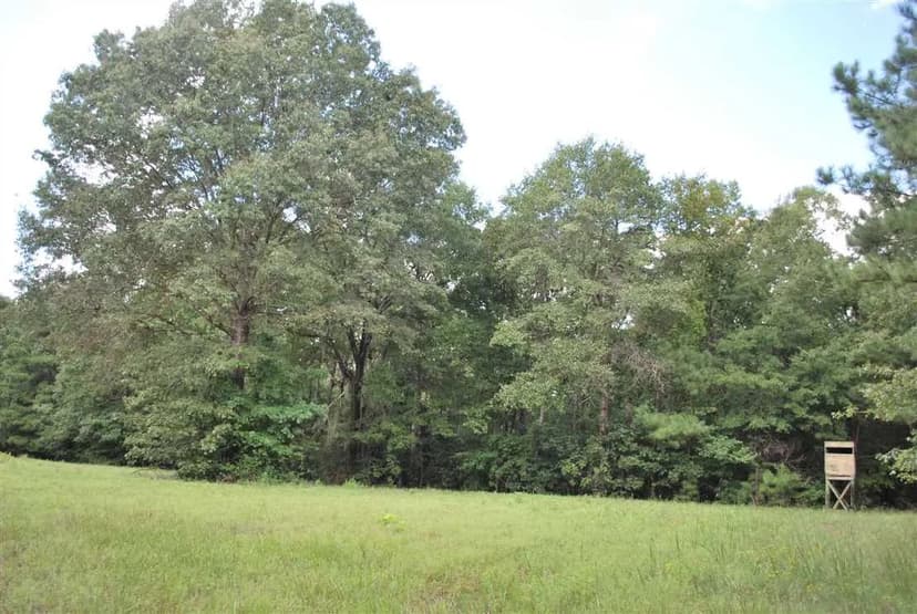 295 acres Land for sale- big timber, big bucks, close to east Montgomery and Auburn. $2595 per acre.