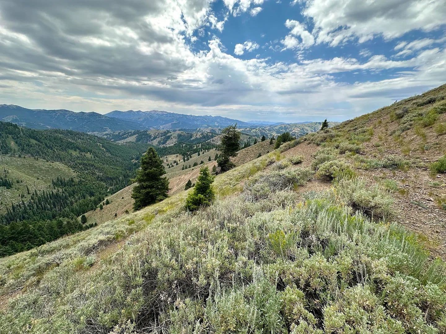 Silver Star Mine and Hunting Property - land for sale