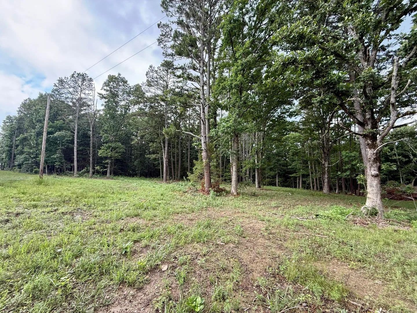 Property from 000 W Highway 32 - KW - Licking, Missouri, 65542