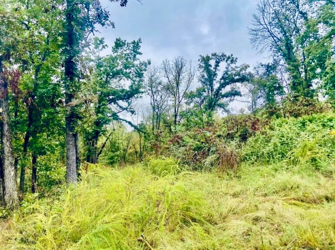 6.22 Acres of Land for Sale in Greenfield, MO - Greenfield, Missouri, 65661