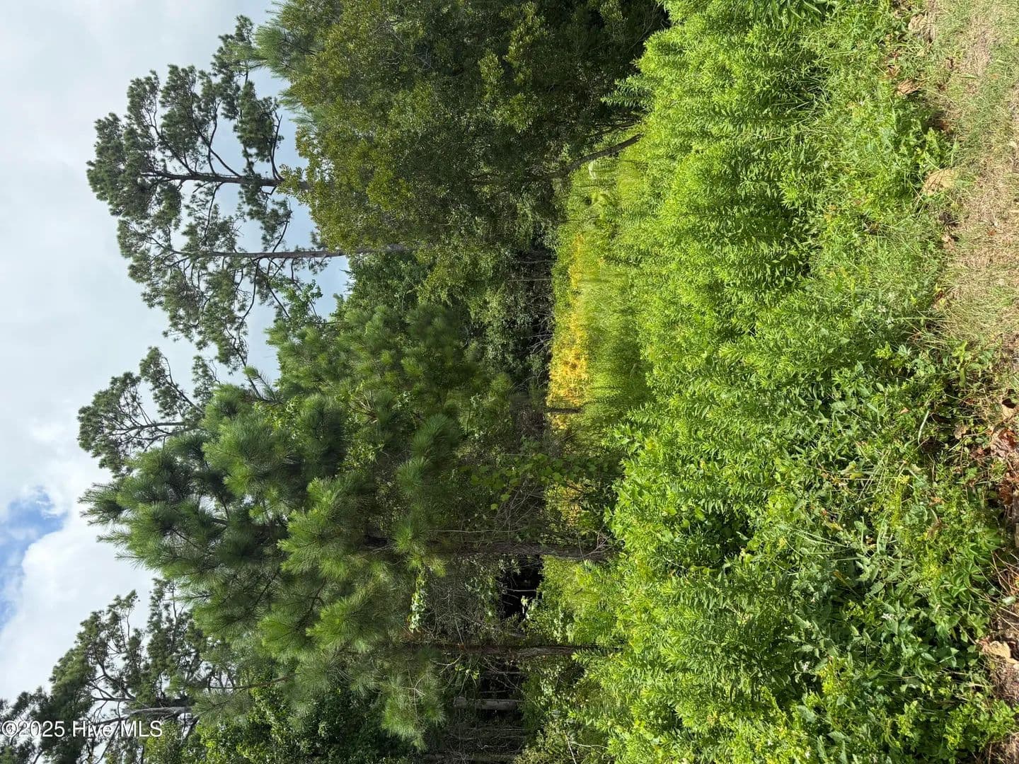 Property from 1015 Meridian Drive - KW - Sneads Ferry, North Carolina, 28460