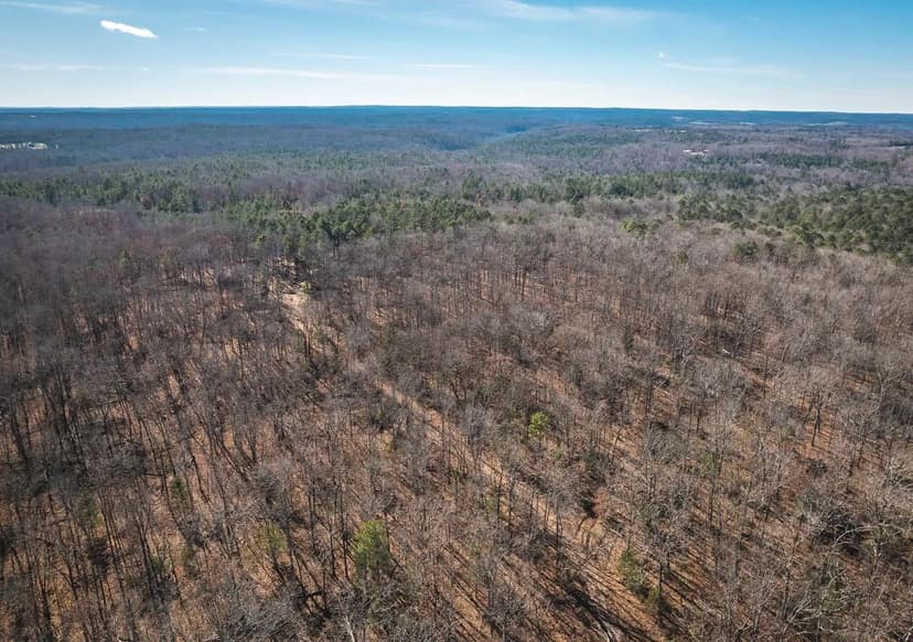 Deason Drive Hunting Retreat-Tract 1