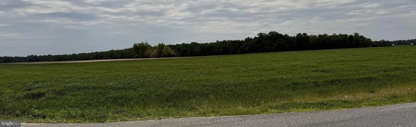 Vacant Land in Monroeville