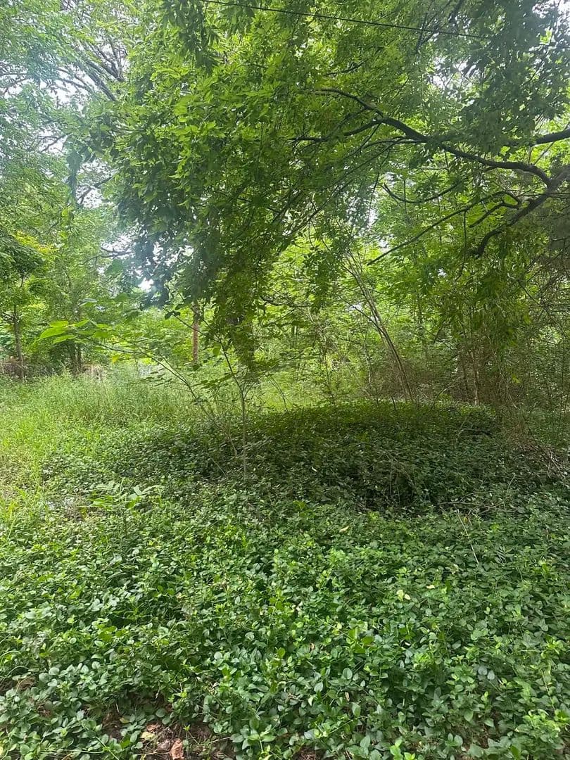0.13 Acres of Land for Sale in Paris, Texas - Paris, Texas, 75460