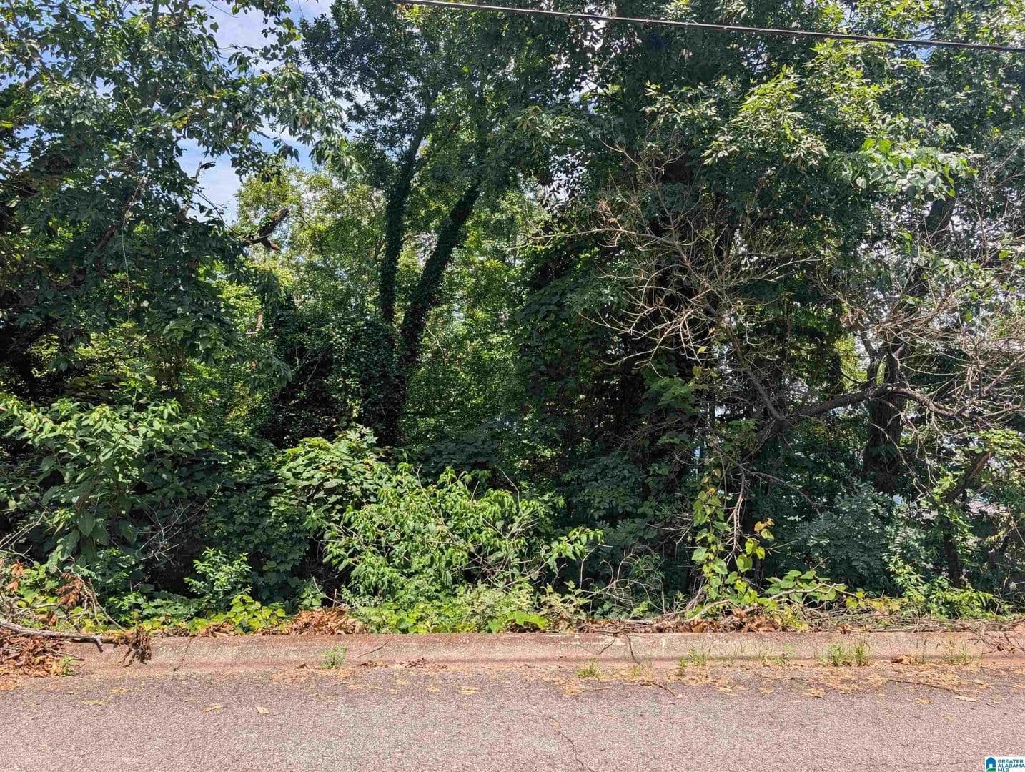 Property from 0 HILLYER HIGH ROAD #0 - KW - Anniston, Alabama, 36207