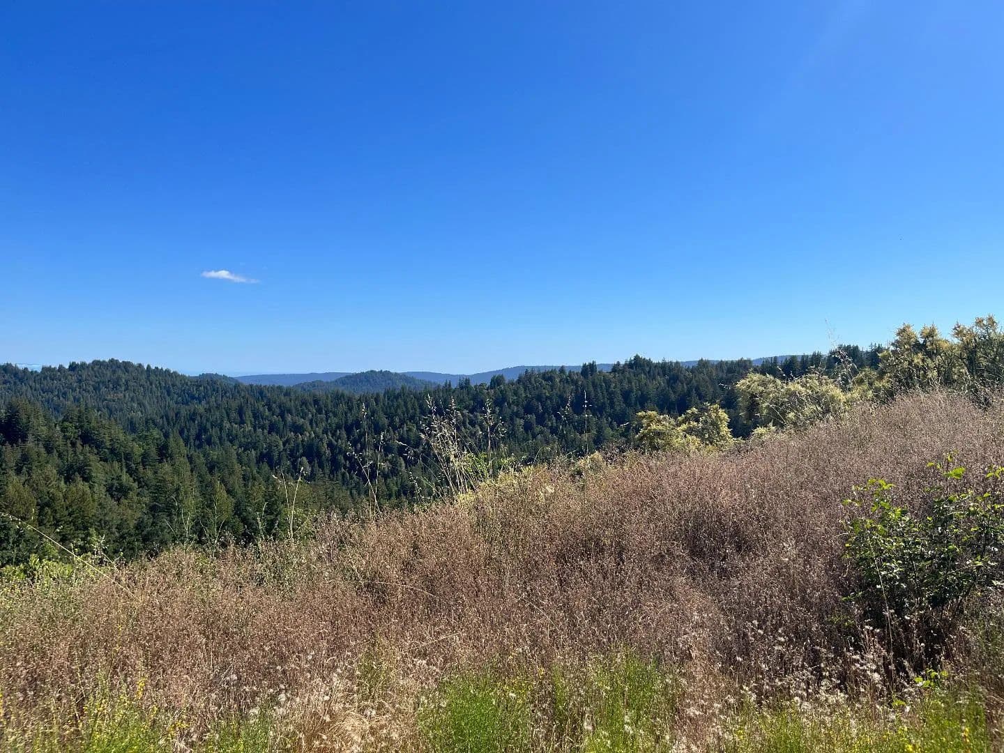 Property from Lot 19 Bear Creek Road - KW - Boulder Creek, California, 95006