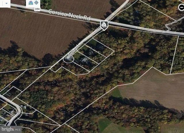 28.49 Acres of Land for Sale in Centreville, Maryland - Centreville, Maryland, 21617