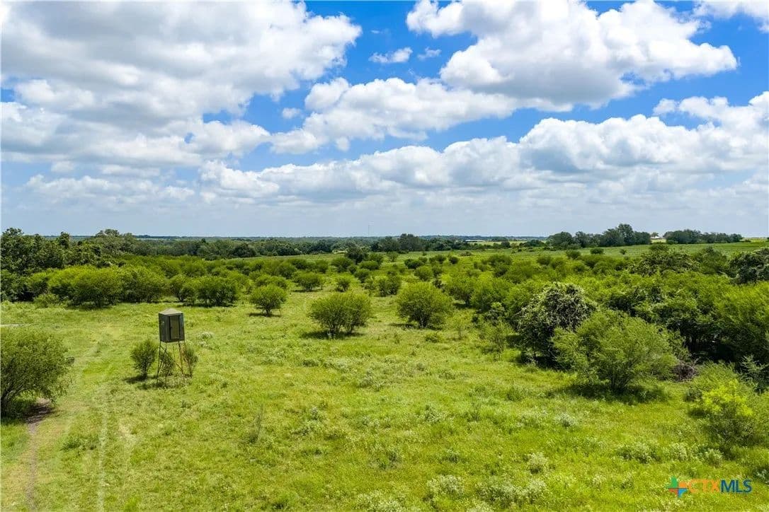 Vacant Land in Goliad - Goliad, Texas, 77963