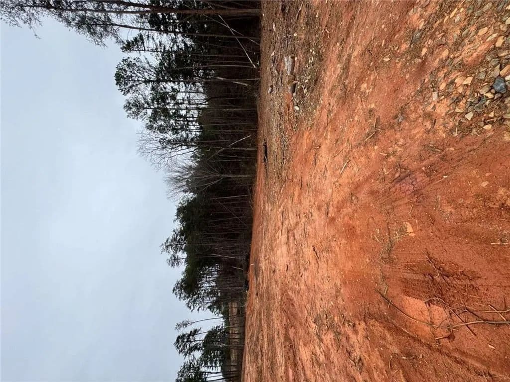 Property from 0 Scott Road - KW - Eastanollee, Georgia, 30538
