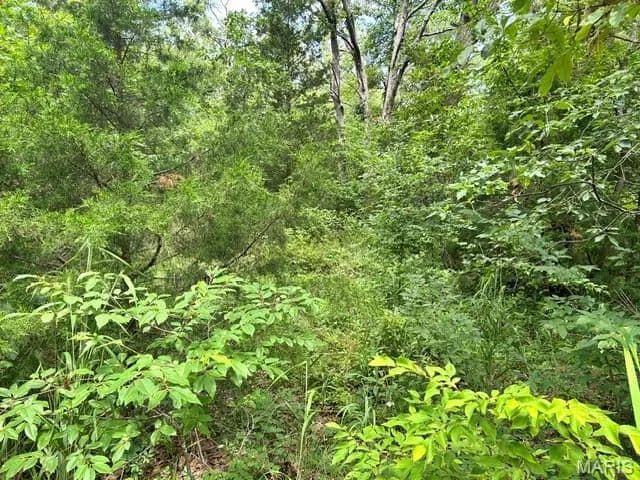 Property from 595 Utica Drive - KW - Bismarck, Missouri, 63624