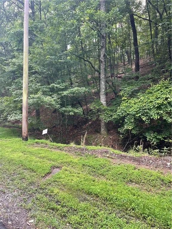 Vacant Land in Waleska