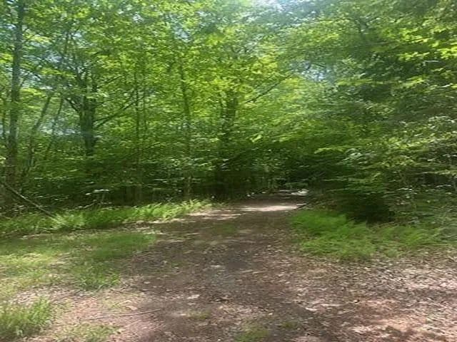 Property from 115 Deer Path Lane - KW - Bridgewater, New Hampshire, 03222