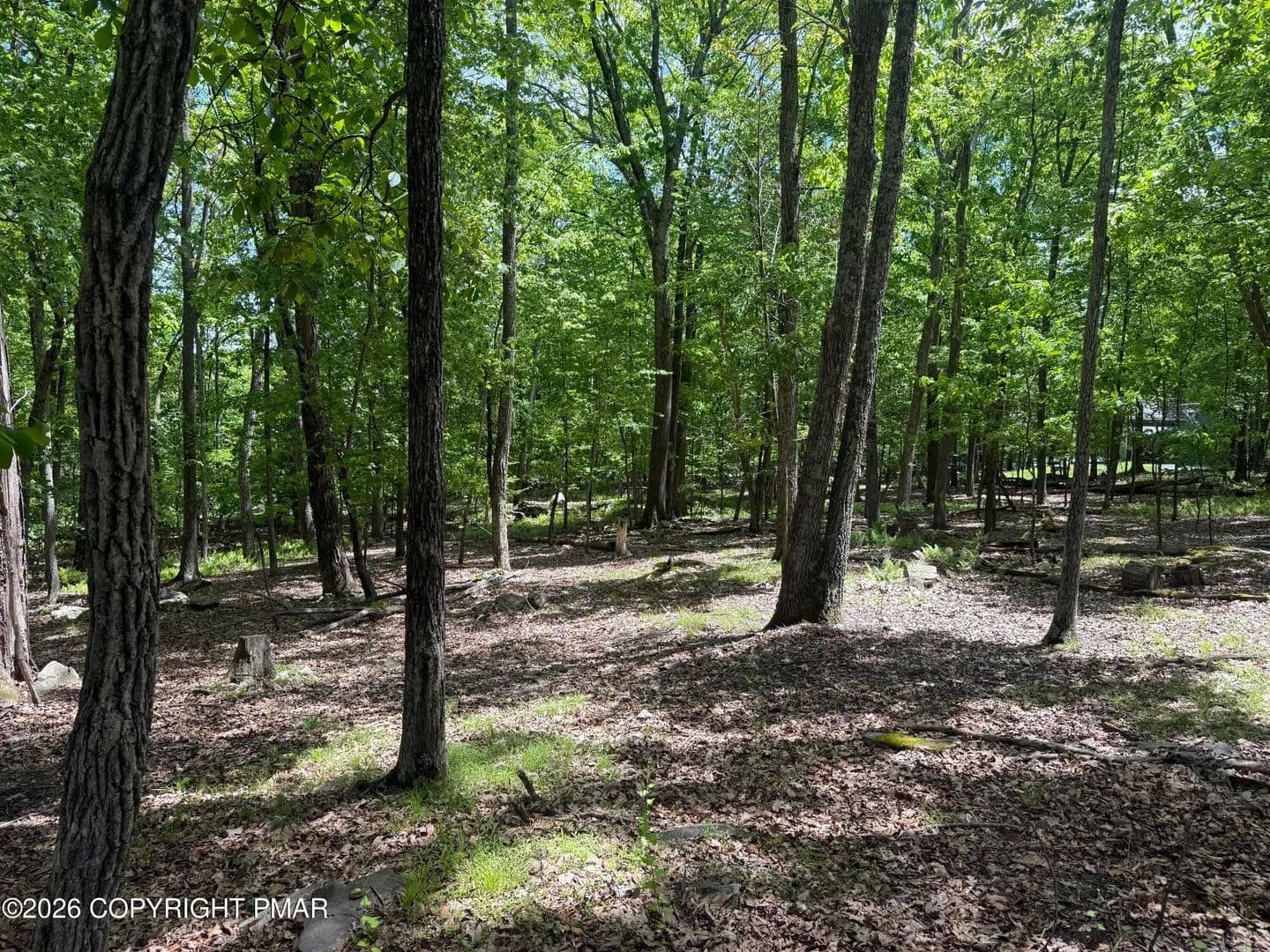 Property from Delilah Rd 31 Road - KW - East Stroudsburg, Pennsylvania, 18302