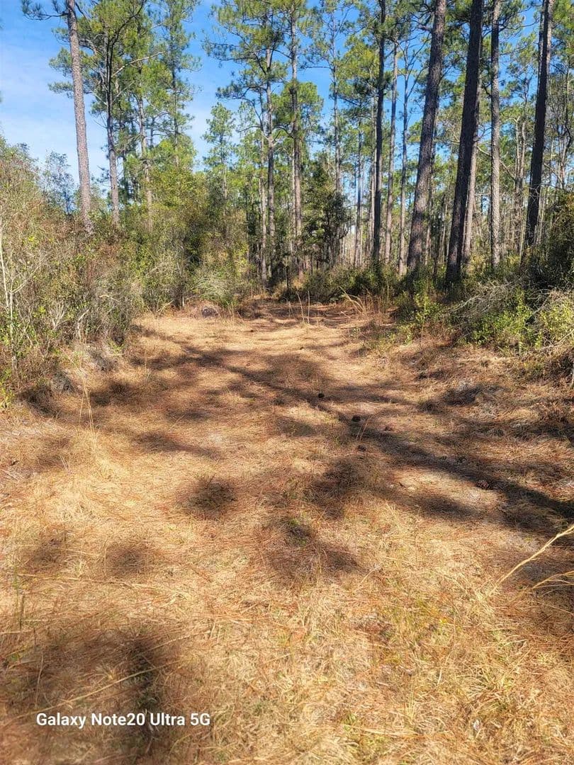 Property from 0 Smith Creek Road - KW - Tallahassee, Florida, 32310