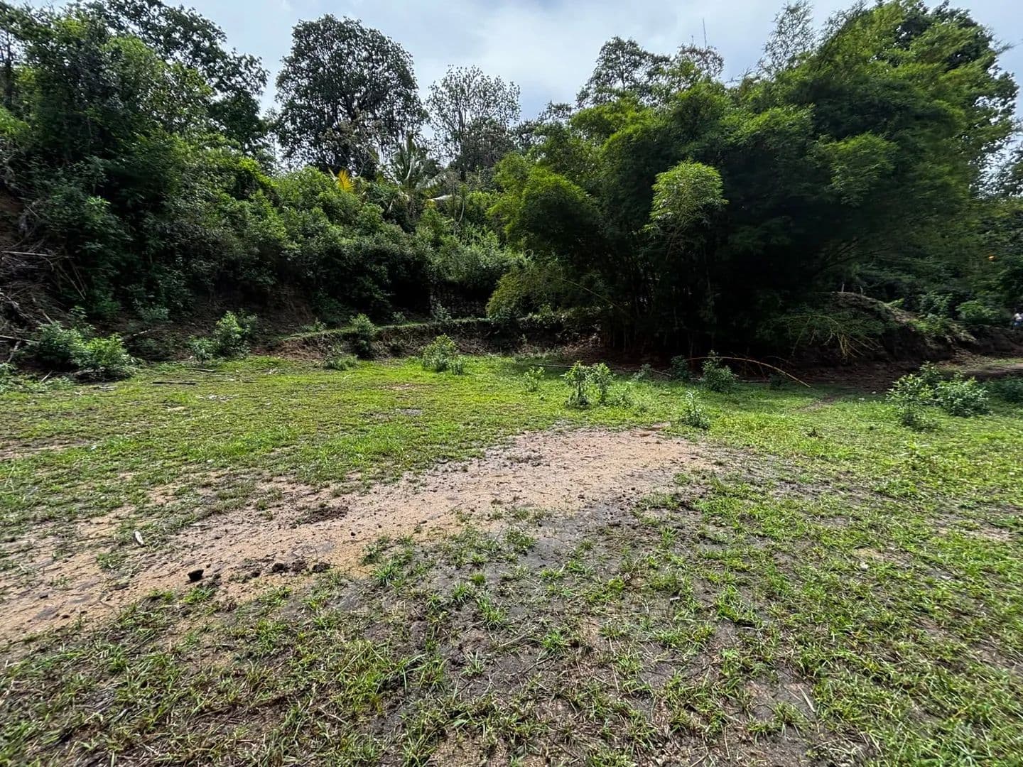 VENDO LOTE CAMPESTRE EN VEREDA LA MATA - land for sale