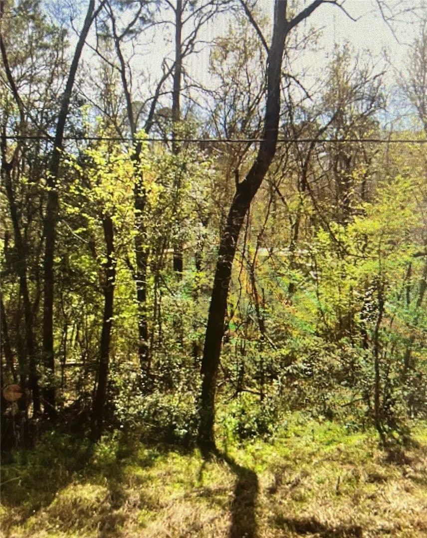 0.22 Acres of Land for Sale in Point Blank, Texas - Point Blank, Texas, 77364