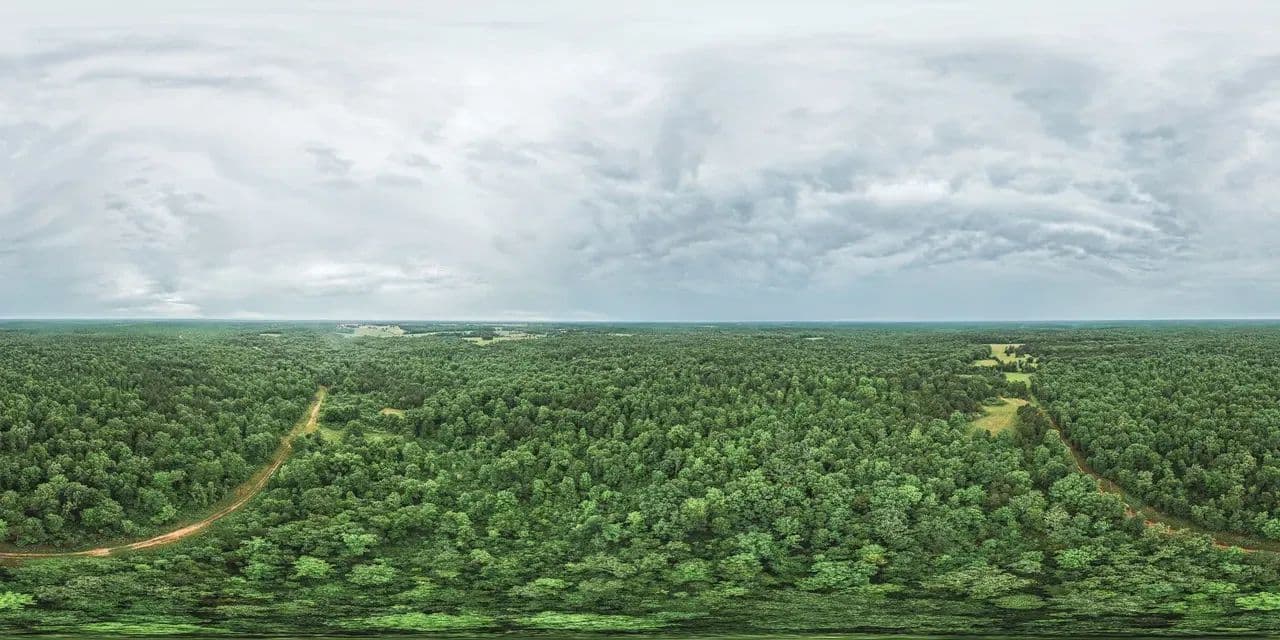 Sherwood Forest - Hartshorn, Missouri, 65479