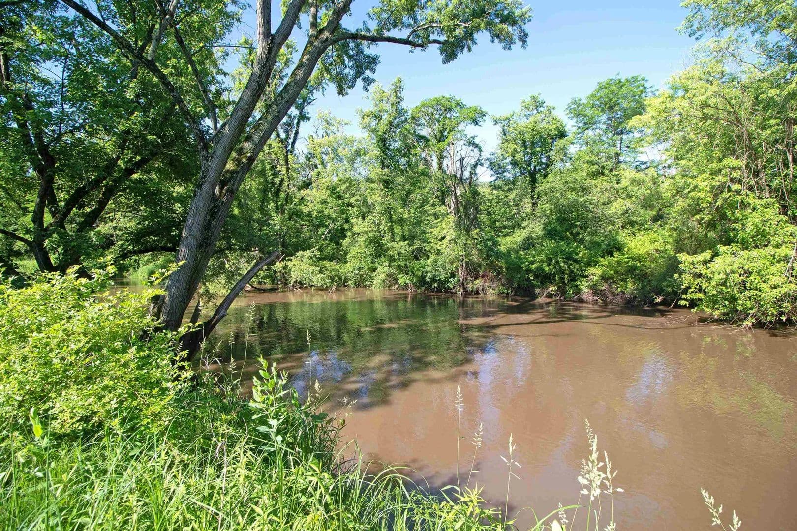 10.28 Acres of Land for Sale in Buena Vista, Wisconsin - Buena Vista, Wisconsin, 53556