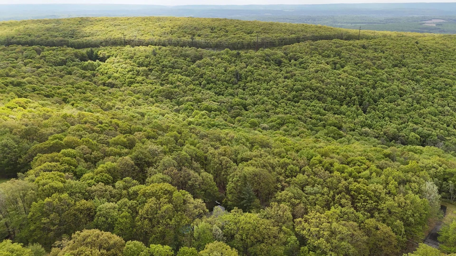 Property from Arciel Drive - KW - Albrightsville, Pennsylvania, 18210