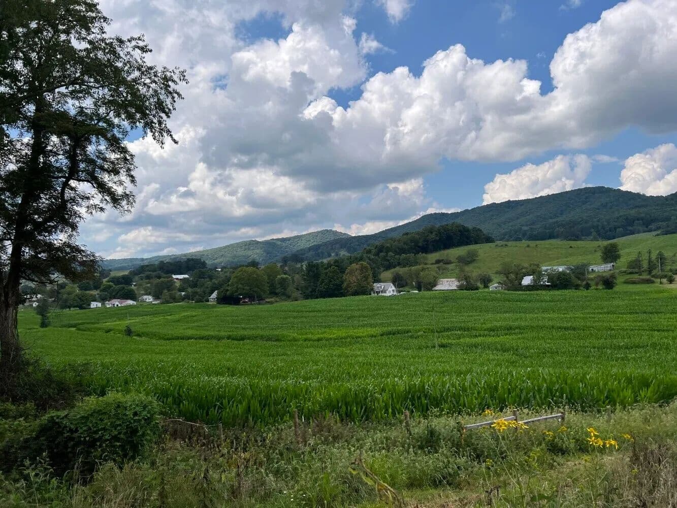 Cedar Springs Farm - Sugar Grove, Virginia, 24375