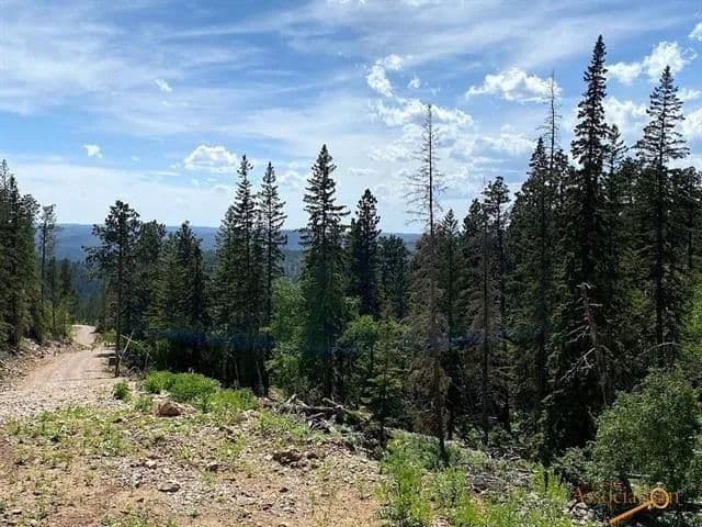 0.37 Acres of Land for Sale in Lead, South Dakota - land for sale
