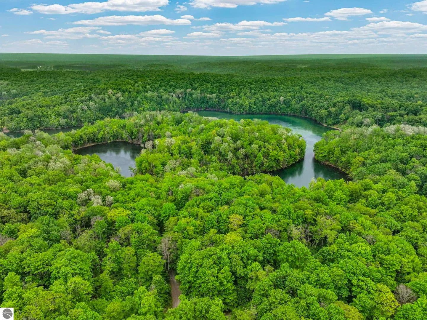 Property from Lost Lake Trail - KW - Mancelona, Michigan, 49659