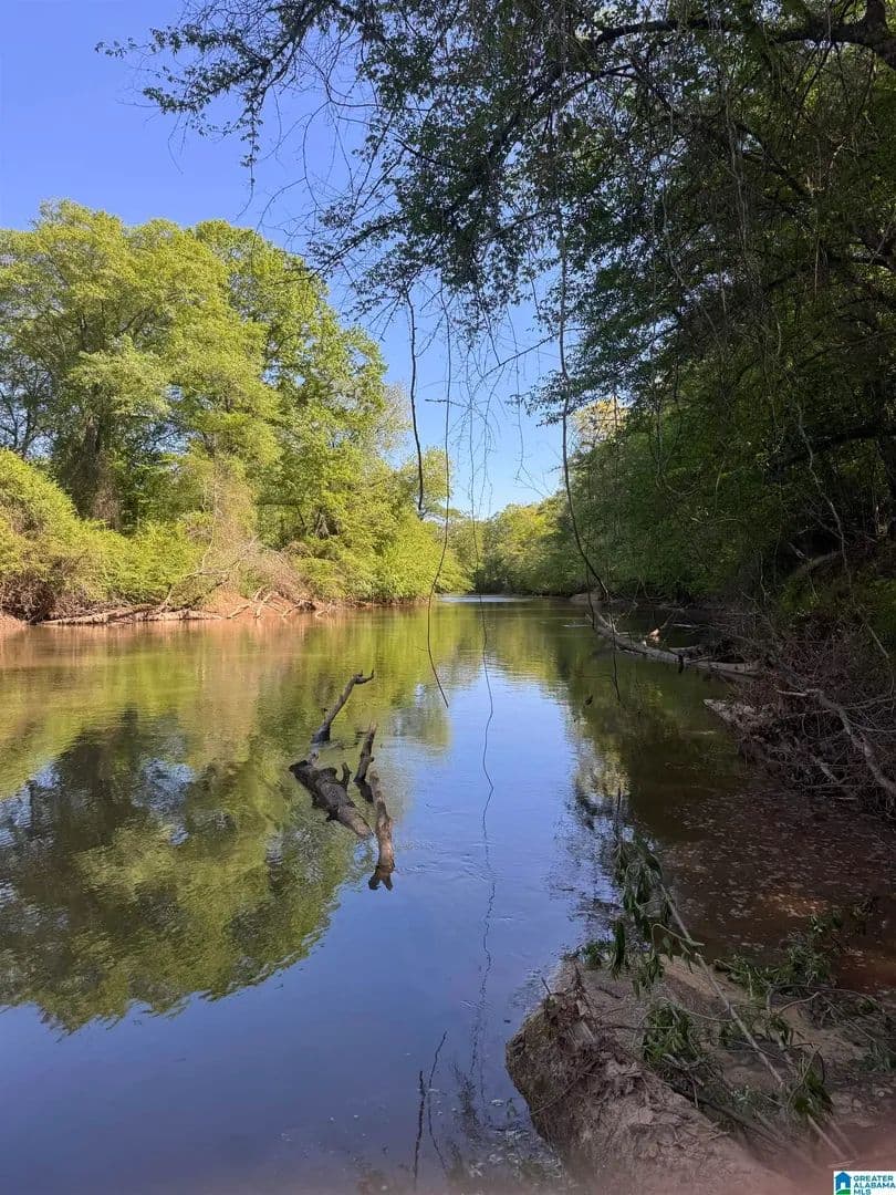 Property from 0 COUNTY ROAD 432 #6 - KW - Woodland, Alabama, 36280