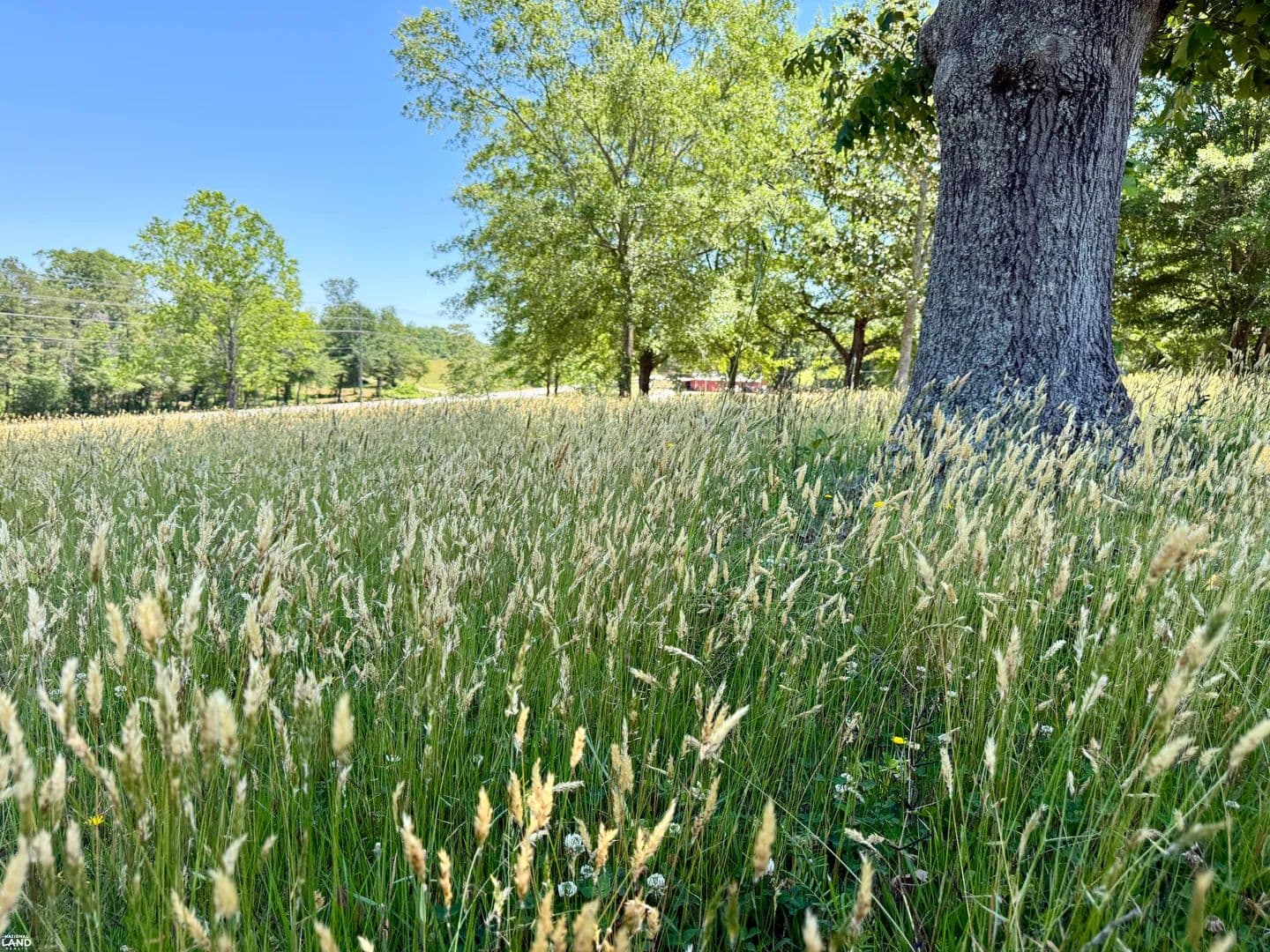 Dacusville Homesite - Easley, South Carolina, 29640