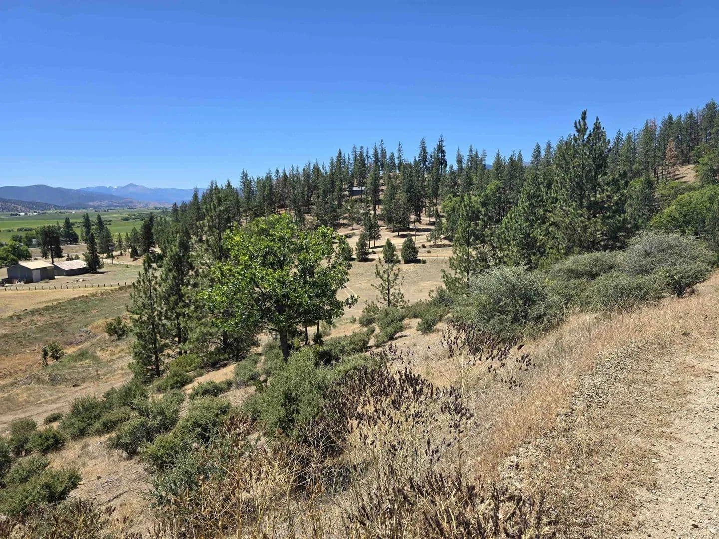 Lots & Land-Other in Fort Jones - Fort Jones, California, 960640000