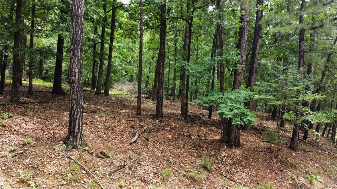 Property from 3 Stonehedge Lane - KW - Bella Vista, Arkansas, 72714
