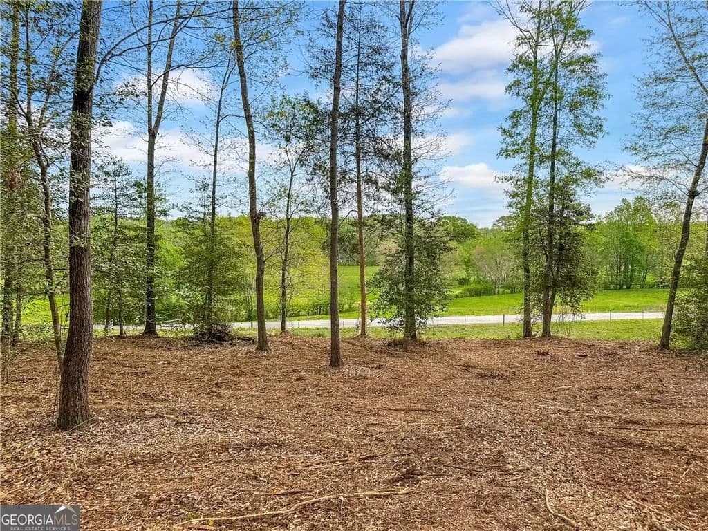 Property from 101 Broad River Road - KW - Eastanollee, Georgia, 30538
