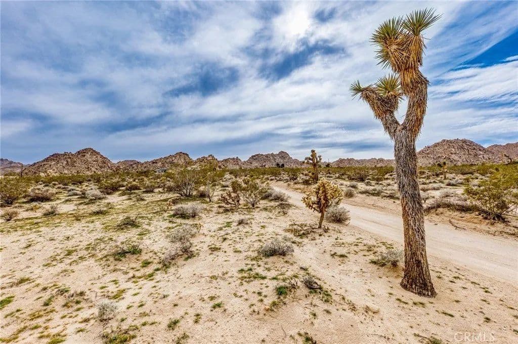 Lots & Land-Other in Joshua Tree - Joshua Tree, California, 92252