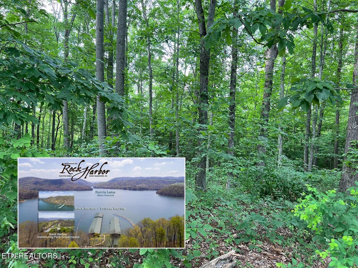 Property from Lot 240 Tanzanite Tr - KW - New Tazewell, Tennessee, 37825