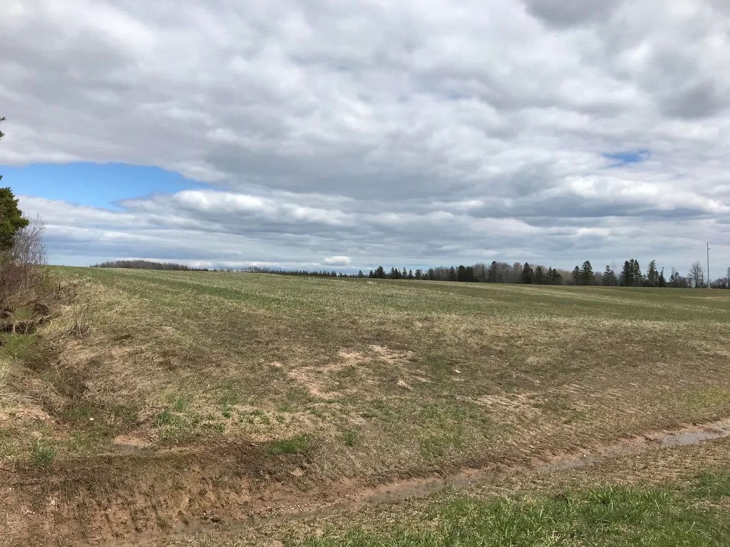 Vacant Land in Pickford - Pickford, Michigan, 49774