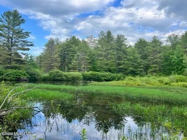 Land -Single Family Acreage in Gloversville - Gloversville, New York, 12078