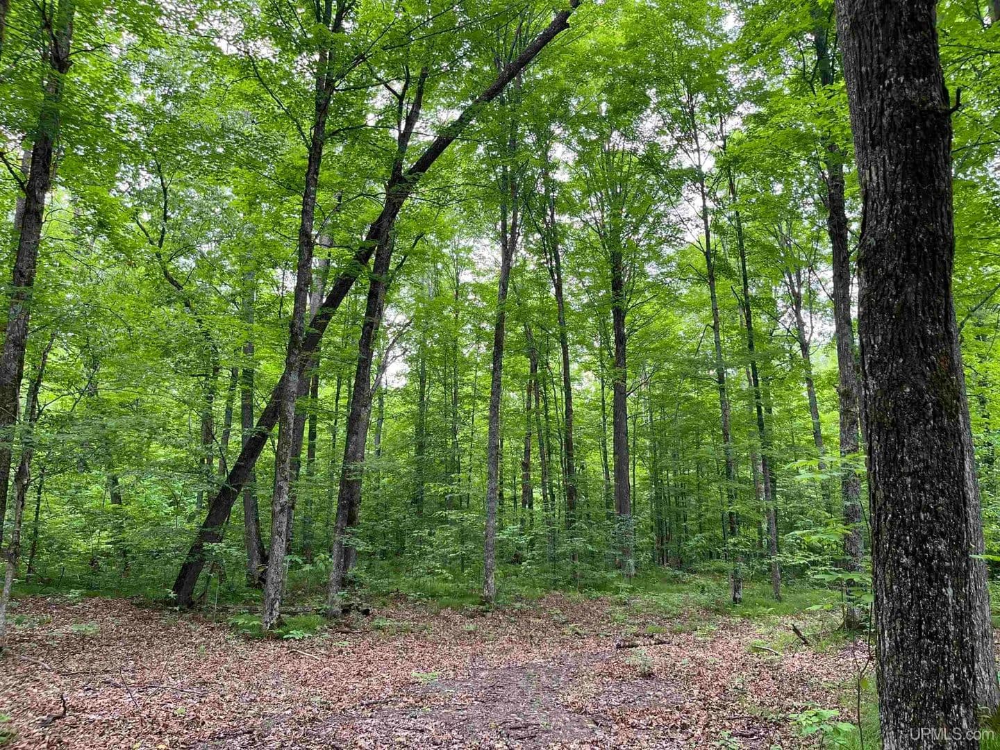 2.94 Acres of Land for Sale in Wisconsin - Wisconsin, 54121