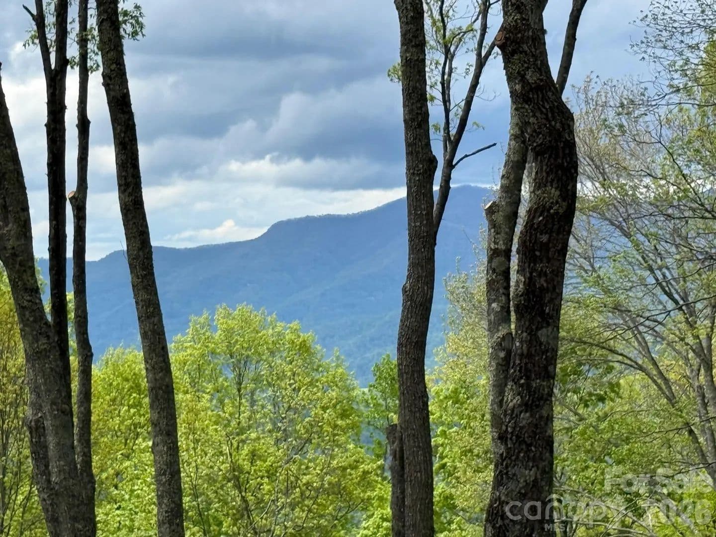 Property from 1817 E Reach Road #216 - KW - Sylva, North Carolina, 28779