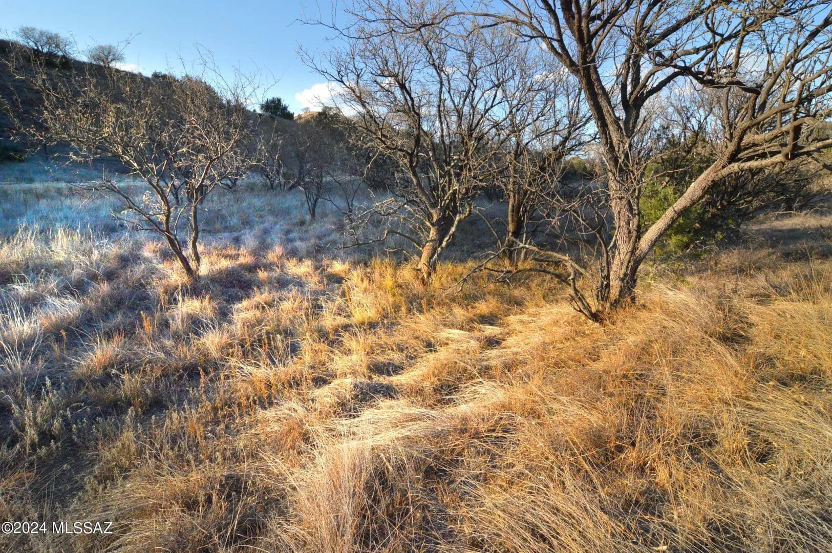 Property from Lot D2 Stevens Canyon Road #11 - KW - Sonoita, Arizona, 85637