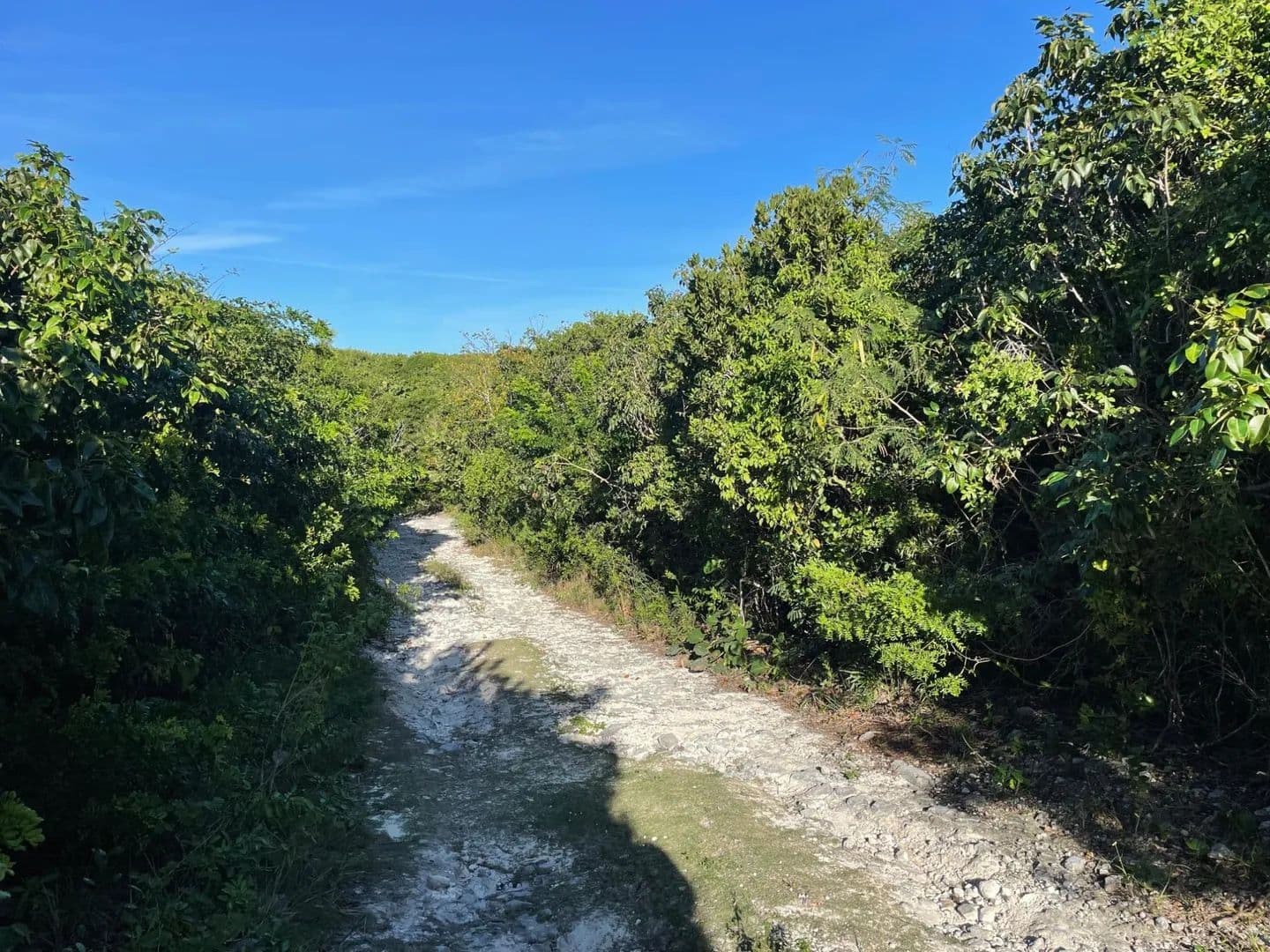 Vacant Land in Eleuthera Island Shores, Eleuthera - land for sale