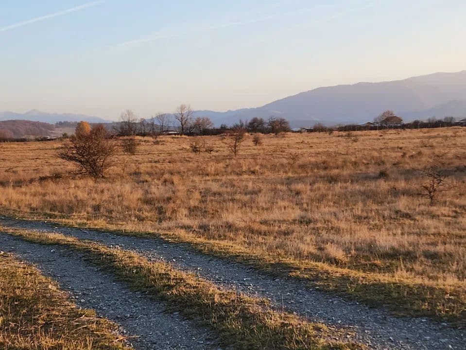 Teren intravilan | Investiție | De vânzare, 3 parcele de 560 mp. - land for sale