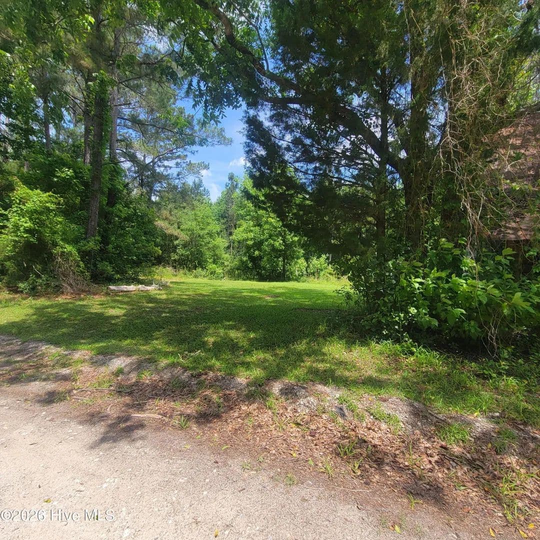 9 Acres of Land for Sale in Burgaw, North Carolina - Burgaw, North Carolina, 28425