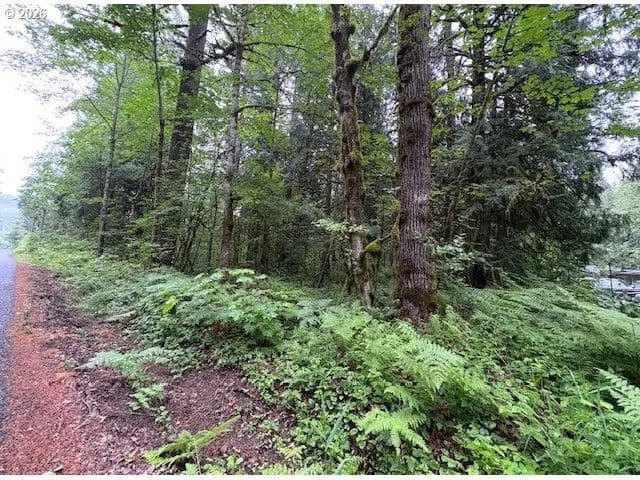 Property from E .Arrah Wanna BLVD - KW - Welches, Oregon, 97067