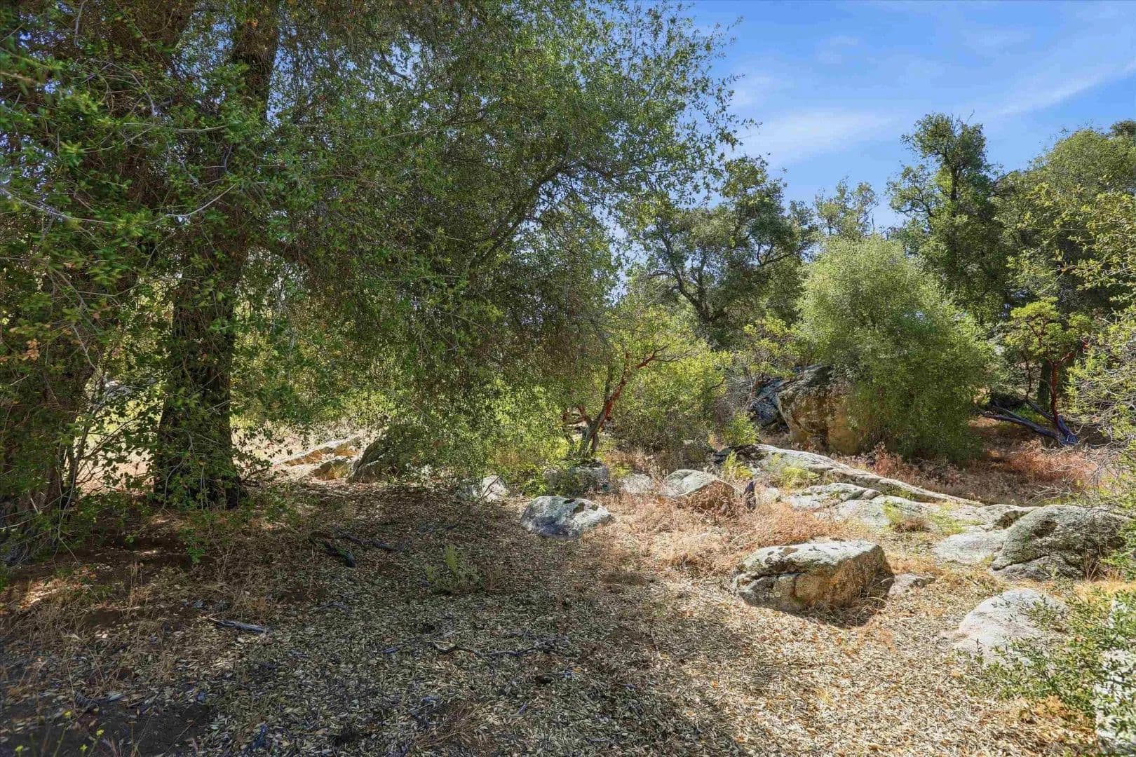 Property from 8515 Foothill Blvd #006479 - KW - Pine Valley, California, 91962