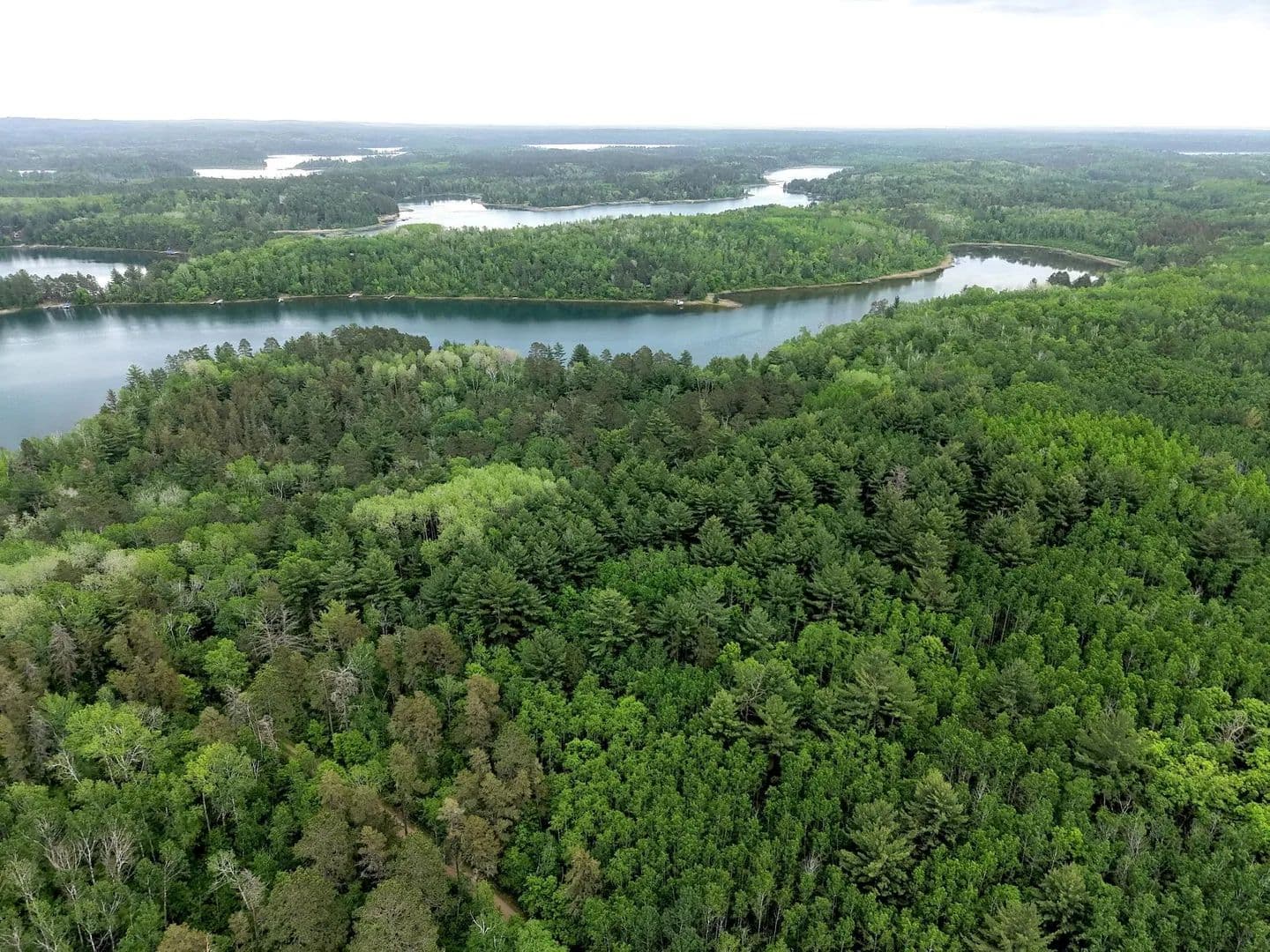 Property from TBD 290th Street - KW - Park Rapids, Minnesota, 56470